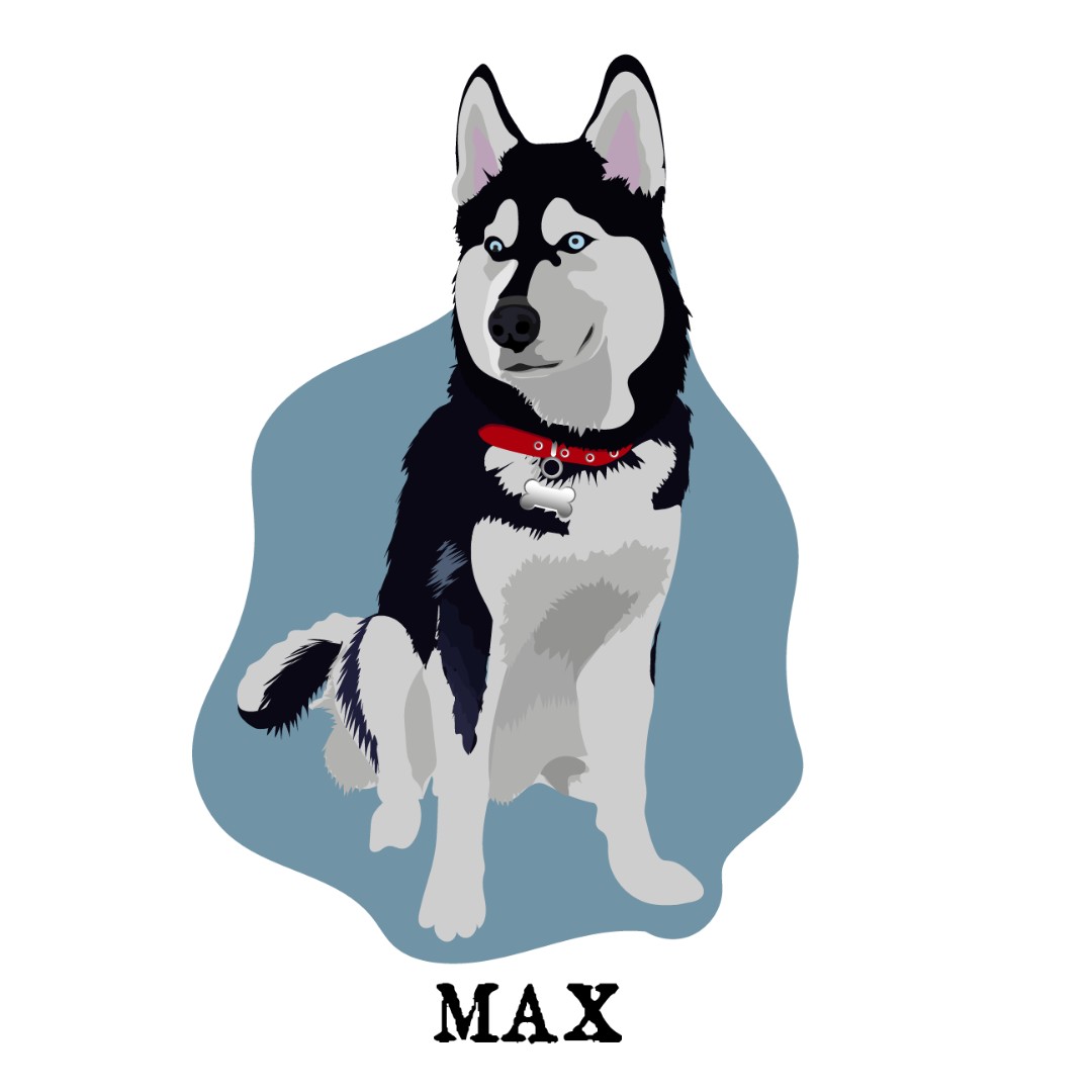 Illustraciones de mascotas/ pet illustration